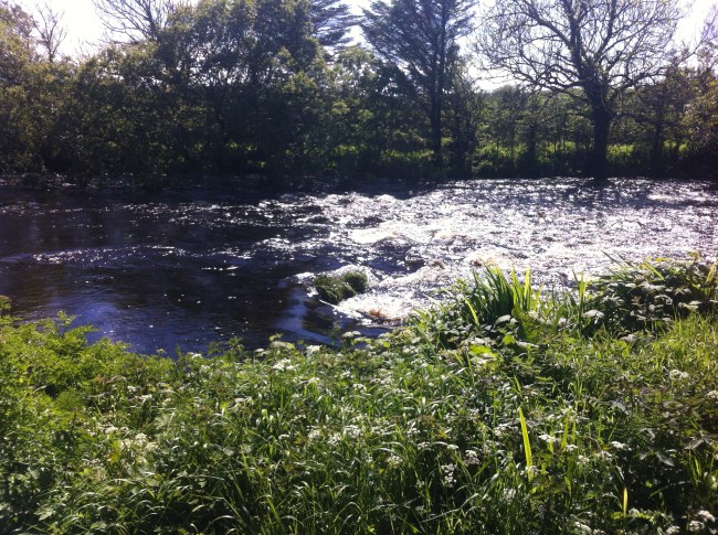 small weir on the Bunowen