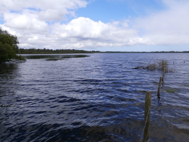 looking out from the Addergoole