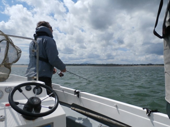 freelining a sandeel bait