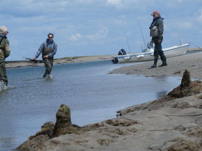 netting sandeels for bait