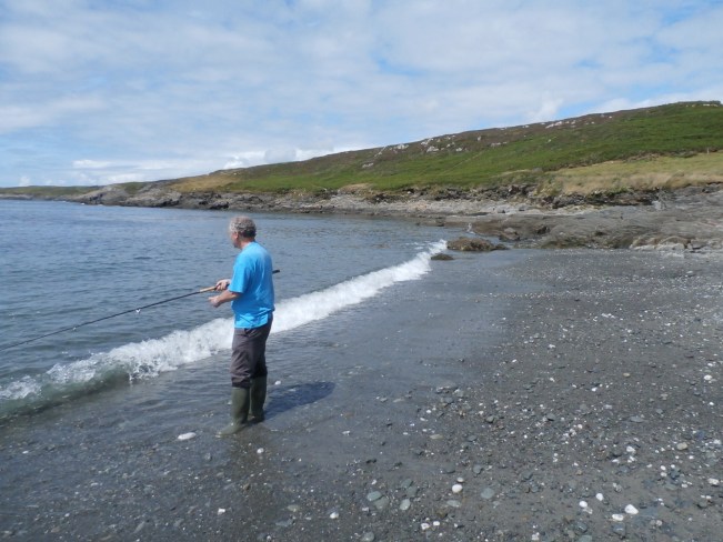 Trying for an elusive Bass