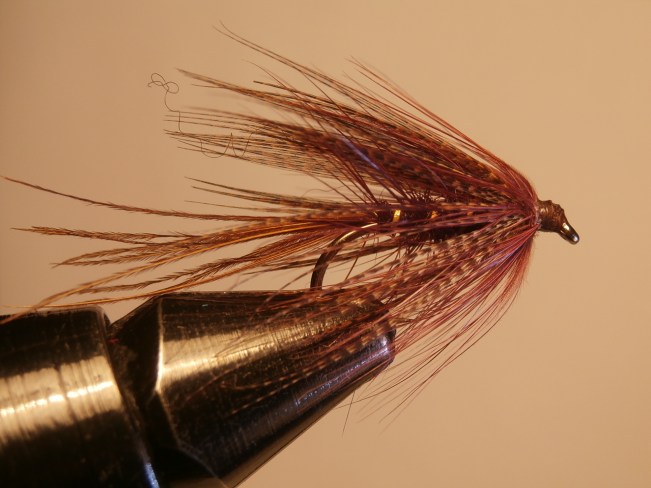 Claret Dabbler