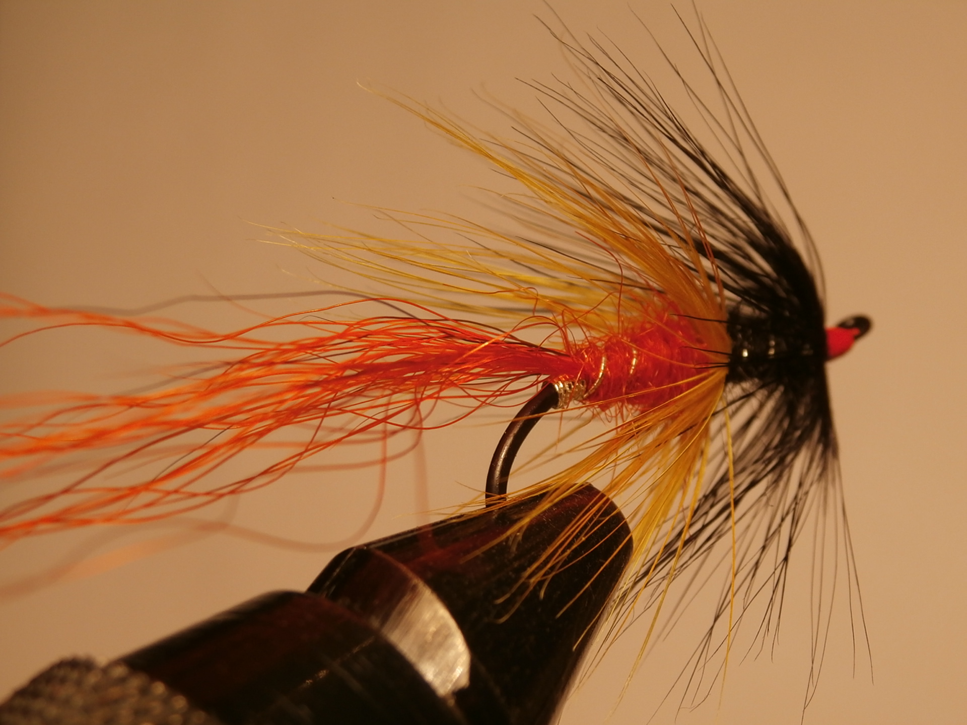 Golden Olive Shrimp – Claretbumbler
