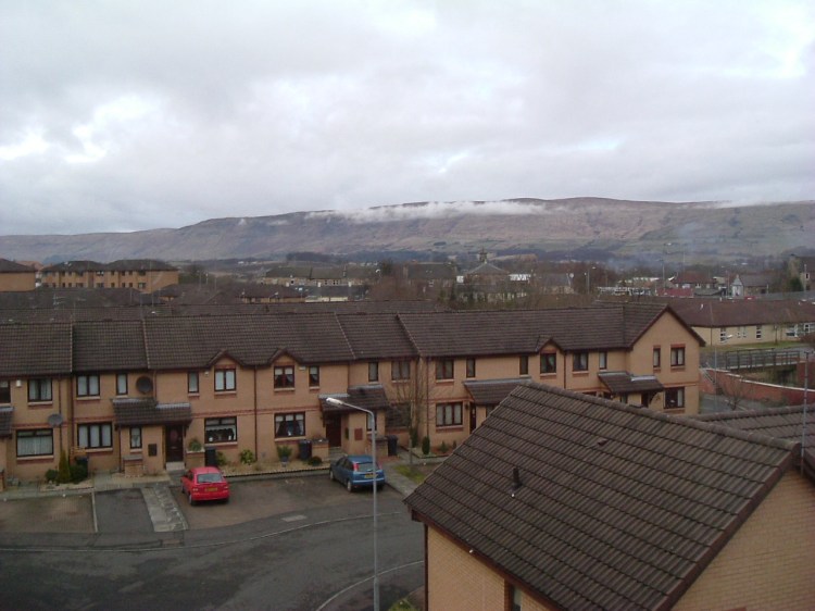 View from the window of 48 Glenview