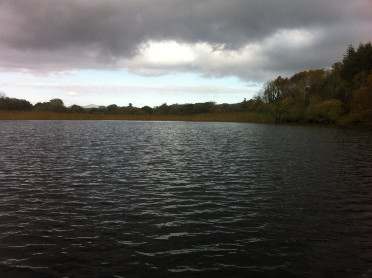 reeds at the mouth of the river