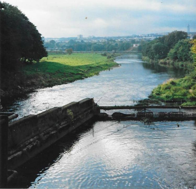 23434998_10210491098782417_8876916933034938415_n