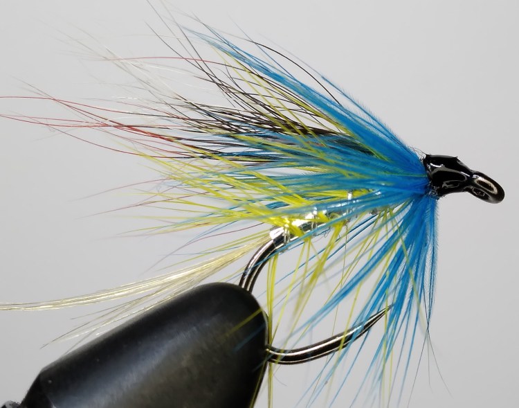 a Beltra Badger tied on a barbless single hook