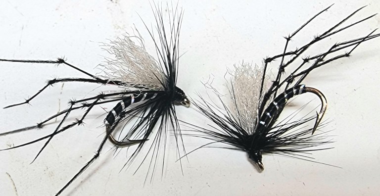 Black Hopper Variant – Claretbumbler